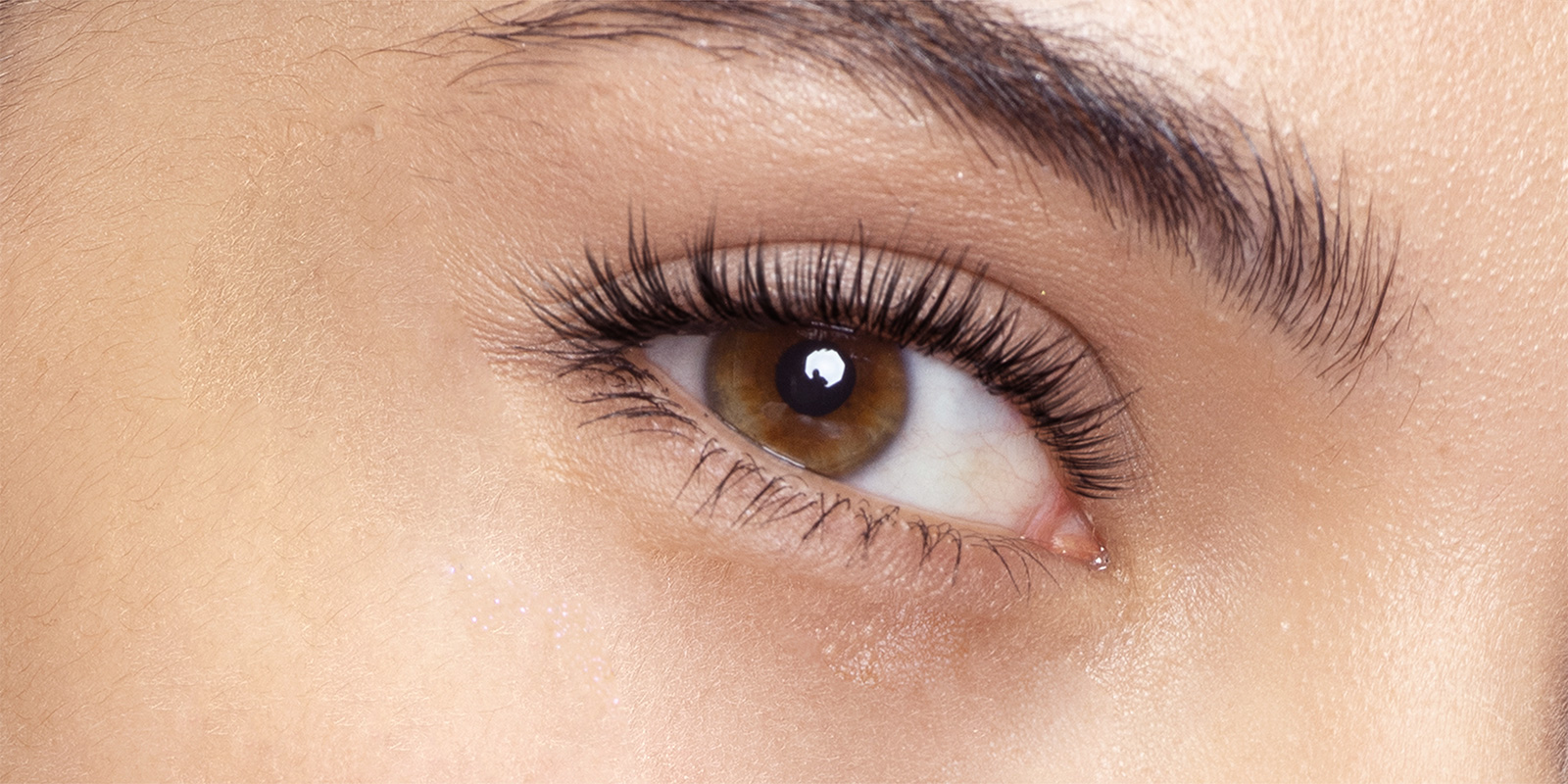 Lash Lamination (Lifting & Tinting)